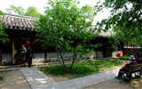 jardin Xiangshan début de l'été (travaux barres d'armature) #18