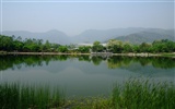 Xiangshan early summer garden (rebar works) #23