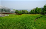 Xiangshan jardín principios del verano (obras barras de refuerzo) #24