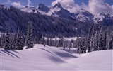 Winter Snow Wallpaper (3) #5