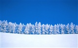 Winter Snow Wallpaper (3) #8