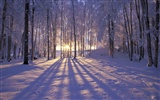 Winter Snow wallpaper (3) #9