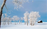 Invierno Nieve fondo de pantalla (3) #10