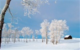 Winter Snow wallpaper (3) #10