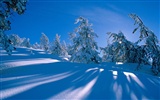 Zimní sníh tapety (3) #14