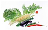 Vegetable photo wallpaper (2) #8