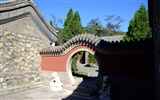 자선 Jingxi 사원의 기념물 (철근 작품) #11