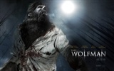Les fonds d'écran du film Wolfman #3