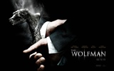 The Wolfman 狼人 电影壁纸7