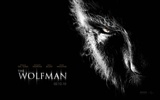 El Fondo de Pantalla Película Wolfman #9