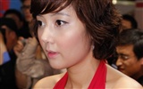 2009 P&E 展台上的美女(螺紋鋼作品) #20