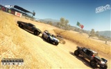 DiRT 2 尘埃 2 高清壁纸11