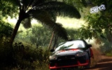 DiRT 2 尘埃 2 高清壁纸25