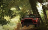 DiRT 2 HD Wallpaper #30