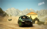 DiRT 2 尘埃 2 高清壁纸34