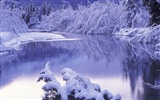 Snow wallpaper collection (1) #19