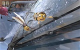 Bee Movie HD papel tapiz #4