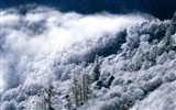 雪山雪景合集 壁纸(二)7