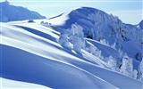 Snow wallpaper collection (2) #11