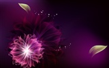 Bright color background wallpaper (12) #19