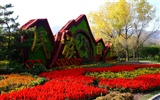 jardin d'automne Xiangshan (œuvres des barres d'armature)