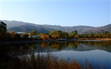 Xiangshan Herbst Garten (Bewehren) #7