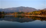 Xiangshan Herbst Garten (Bewehren) #8