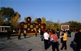 Xiangshan Herbst Garten (Bewehren) #11