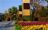 Xiangshan jardín de otoño (obras barras de refuerzo) #13