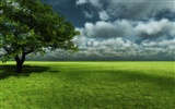 Beautifully rendered scenery wallpaper (7) #4