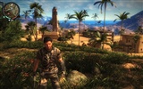 Just Cause 2 HD tapetu #4