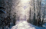 雪山雪景合集 壁纸(四)12