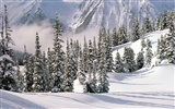 Snow wallpaper collection (4) #13
