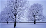 Snow wallpaper collection (4) #18