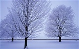 Snow Wallpaper Sammlung (4) #18