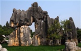 Stone Forest in Yunnan line (1) (Khitan wolf works)