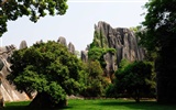 Stone Forest in Yunnan line (1) (Khitan wolf works) #4