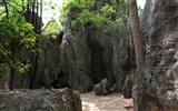 Forêt de pierre dans la ligne du Yunnan (1) (œuvres loup Khitan) #48660