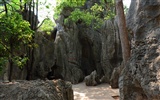 Stone Forest in Yunnan line (1) (Khitan wolf works) #6