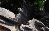 Stone Lesní v souladu Yunnan (1) (Khitan vlk práce) #8