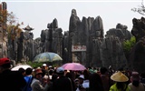 Stone Forest in Yunnan line (1) (Khitan wolf works) #9