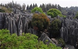 Forêt de pierre dans la ligne du Yunnan (1) (œuvres loup Khitan) #10