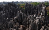 Stone Forest in Yunnan line (1) (Khitan wolf works) #16