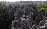 Stone Forest in Yunnan line (1) (Khitan wolf works) #17