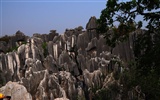 Stone Forest in Yunnan line (1) (Khitan wolf works) #20