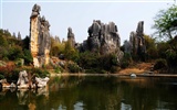 Stone Forest in Yunnan line (2) (Khitan wolf works) #1