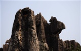 Bosque de Piedras de Yunnan en línea (2) (obras Khitan lobo) #3