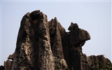 Stone Forest in Yunnan line (2) (Khitan wolf works) #3