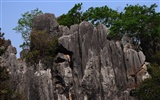 Stone Forest in Yunnan line (2) (Khitan wolf works) #4