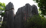 Bosque de Piedras de Yunnan en línea (2) (obras Khitan lobo) #9